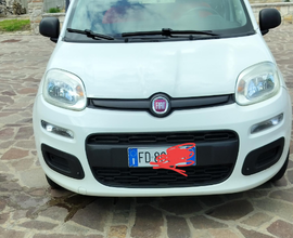 Panda benzina
