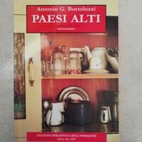 Paesi alti di Antonio G. Bortoluzzi 