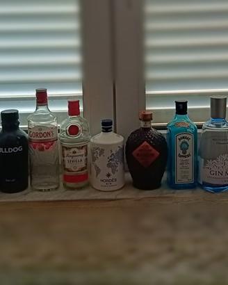 bottiglie gin vuote da collezione