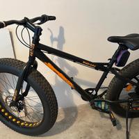 Fat Bike