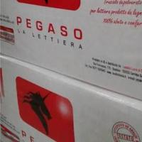 LETTIERA TRUCIOLO PER CAVALLI 