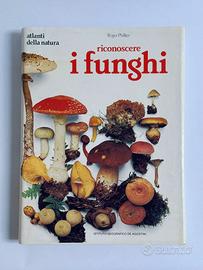 Riconoscere i Funghi Phillips De Agostini 1985
