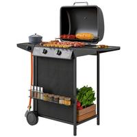 Barbecue a Gas con 3 Bruciatori