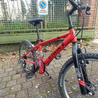 bicicletta bimbo da 10 a 12 o 13  anni 