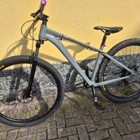 mountain bike  29 pollici