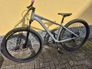 mountain bike  29 pollici