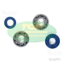 Kit Cuscinetti banco + paraoli derbi D50B0