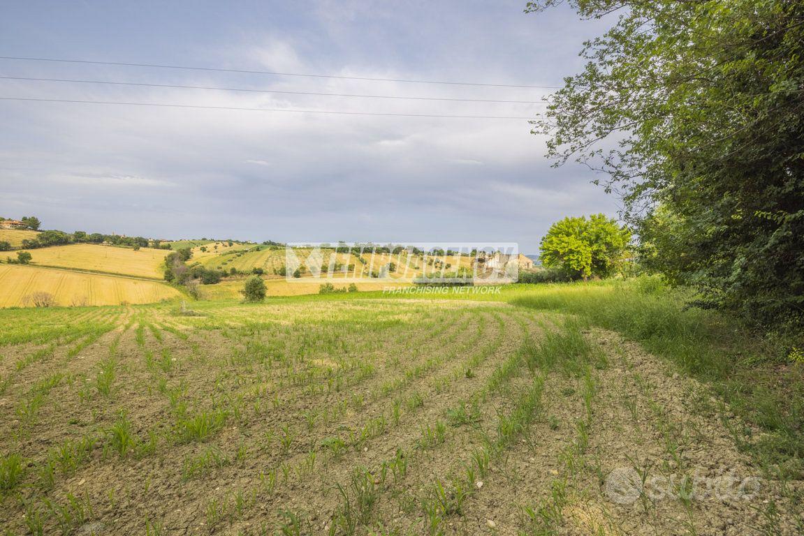 Terreno agricolo di 36.600 mq a Morrovalle! - Vista 2
