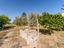 Immagine 19