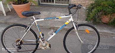 Bicicletta marca Bianchi