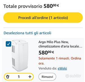  condizionatore portatile 13.000 btu Argo 