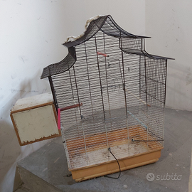Voliera per uccelli - Animali In vendita a Cuneo