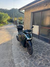 SH125i 2024 verde vetro