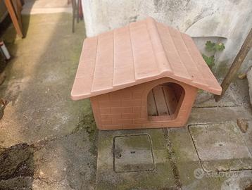 Casetta cane