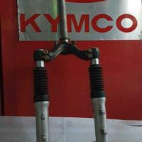 Dink 50 4T 2006 07 2008 2009 2010 forcella kymco p