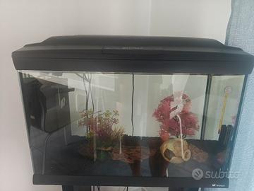 Acquario Cayman 60 lt