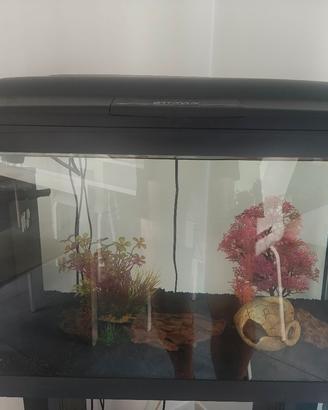 Acquario Cayman 60 lt
