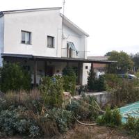 Villetta rustica con oliveto