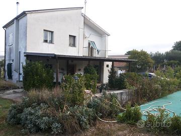 Villetta rustica con oliveto