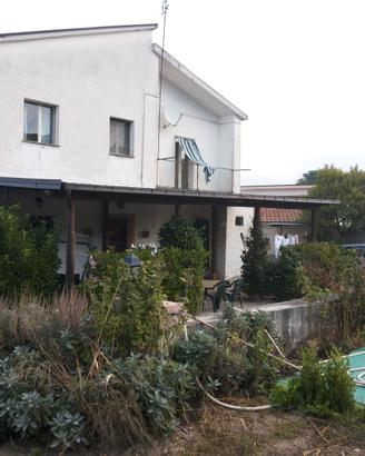 Villetta rustica con oliveto pianeggiante