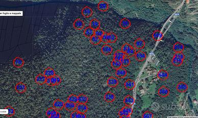Terreni di 140.000 mq agricoli boschivi in Sondrio