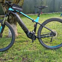 ebike bianchi