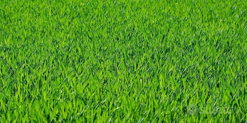 Terreno di 1050 m² a Bordighera - Altro
