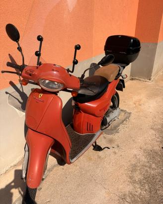 Scerabei 50