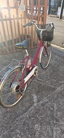 Bicicletta elettrica Italwin 
