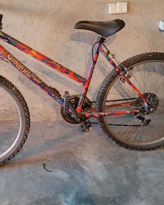 bicicletta Mountain bike 