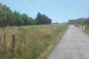 sito edificabile,  Cappelle Sul Tavo