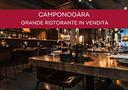 attivita-licenza-di-500-m²-a-camponogara