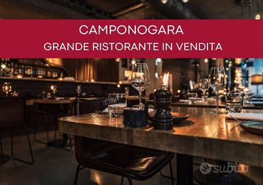 Attività / Licenza di 500 m² a Camponogara