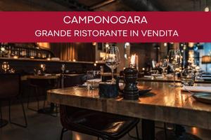 Attività / Licenza di 500 m² a Camponogara