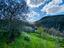 Immagine 11