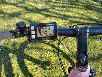 Bicicletta elettrica