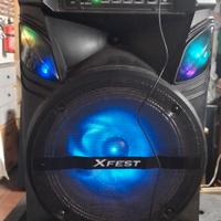 cassa grande per karaoke e feste 100 watt