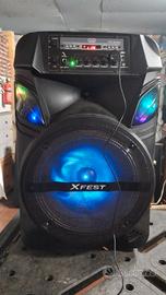 cassa grande per karaoke e feste 100 watt