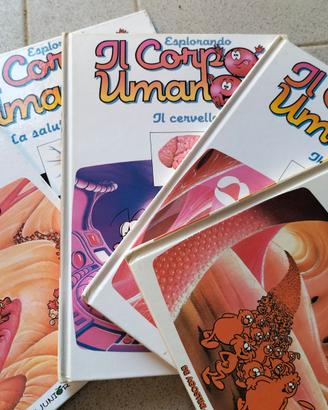 Collezione "Corpo Umano"