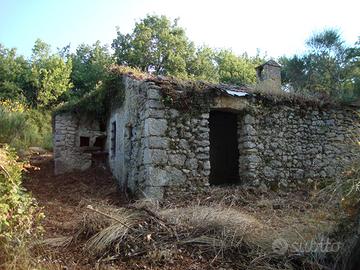Casale in Pietra con 50.000 mq di Terreno