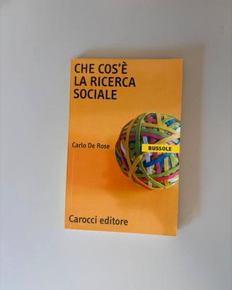 Che cos'è la ricerc_a sociale