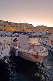 Imbarcazione MT 780 mod.Sauro