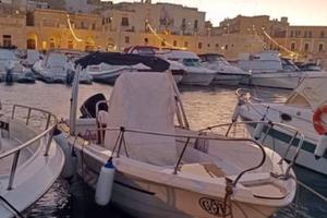 Imbarcazione MT 780 mod.Sauro