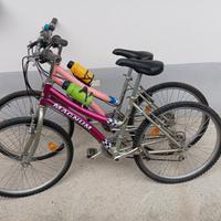 Bici mountain bike 