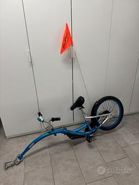 Cammellino WeeRide Co-Pilot