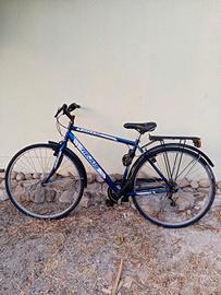 Bicicletta REIUS