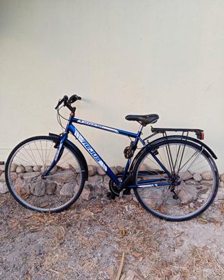 Bicicletta REIUS