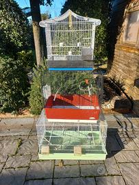 Gabbie per uccelli