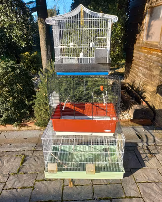 Gabbie per uccelli