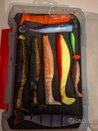 Shad in gomma